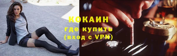 прущие грибы Абдулино
