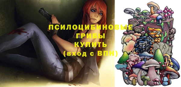 apvp Алзамай