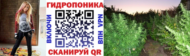 Бошки марихуана сатива продажа наркотиков Мамадыш
